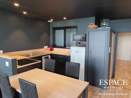 Concarneau vue mer appartement contemporain 2 pièce(s) 46.47 m2 en rez de jardin