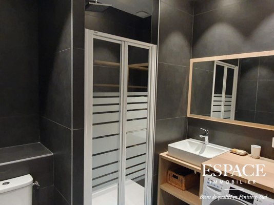 Concarneau vue mer appartement contemporain 2 pièce(s) 46.47 m2 en rez de jardin