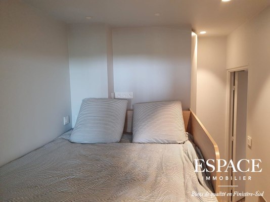 Concarneau vue mer appartement contemporain 2 pièce(s) 46.47 m2 en rez de jardin