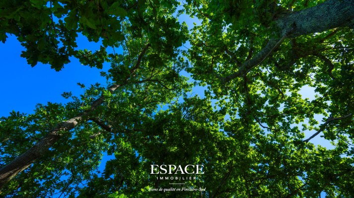 A vendre Concarneau le centre-ville à pied - maison familiale avec beau potentiel, vue dégagée jusqu&#039;à la mer et grand terrain arboré