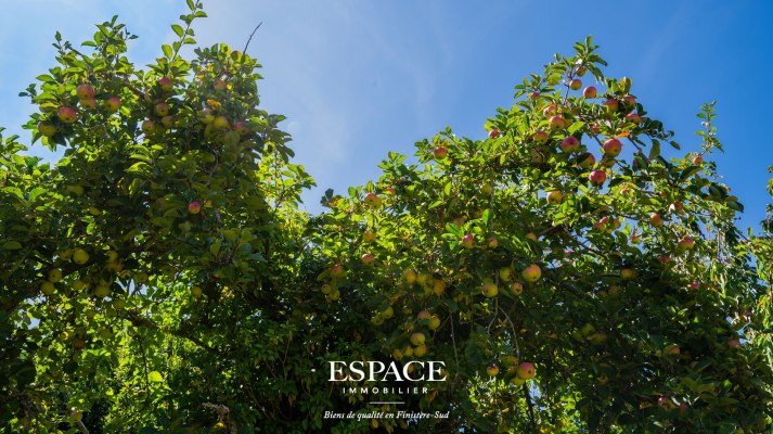 A vendre à Trégunc près des plages - charme breton - pierres anciennes et jardin paysager de 4 320 m²